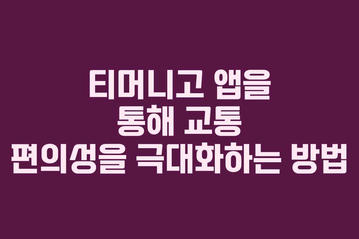 티머니고 앱을 통해 교통 편의성을 극대화하는 방법