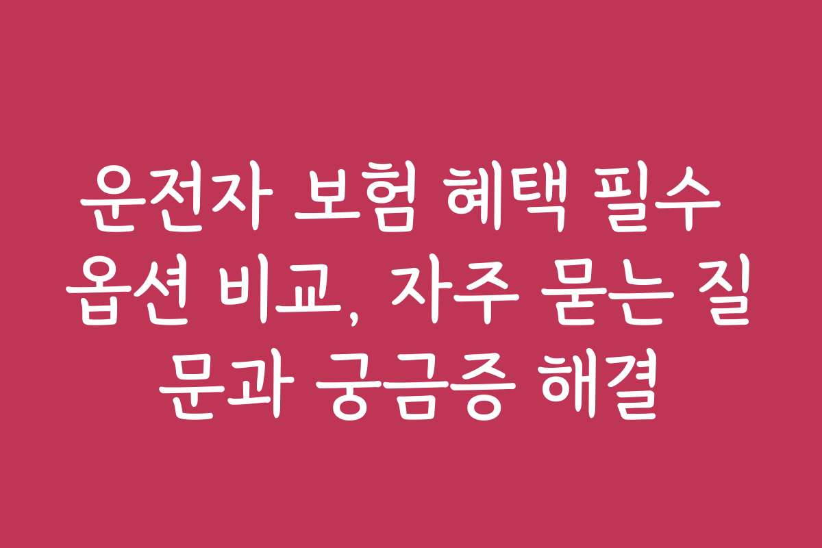 운전자 보험 혜택 필수 옵션 비교, 자주 묻는 질문과 궁금증 해결