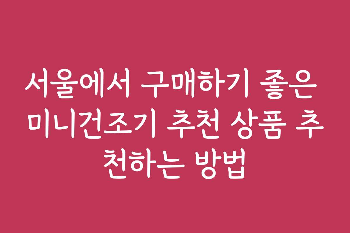 서울에서 구매하기 좋은 미니건조기 추천 상품 추천하는 방법