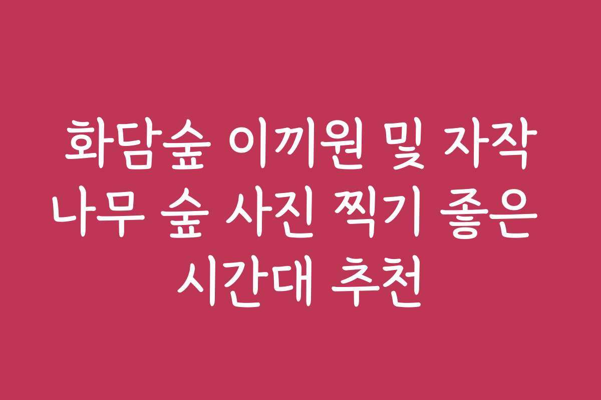 화담숲 이끼원 및 자작나무 숲 사진 찍기 좋은 시간대 추천
