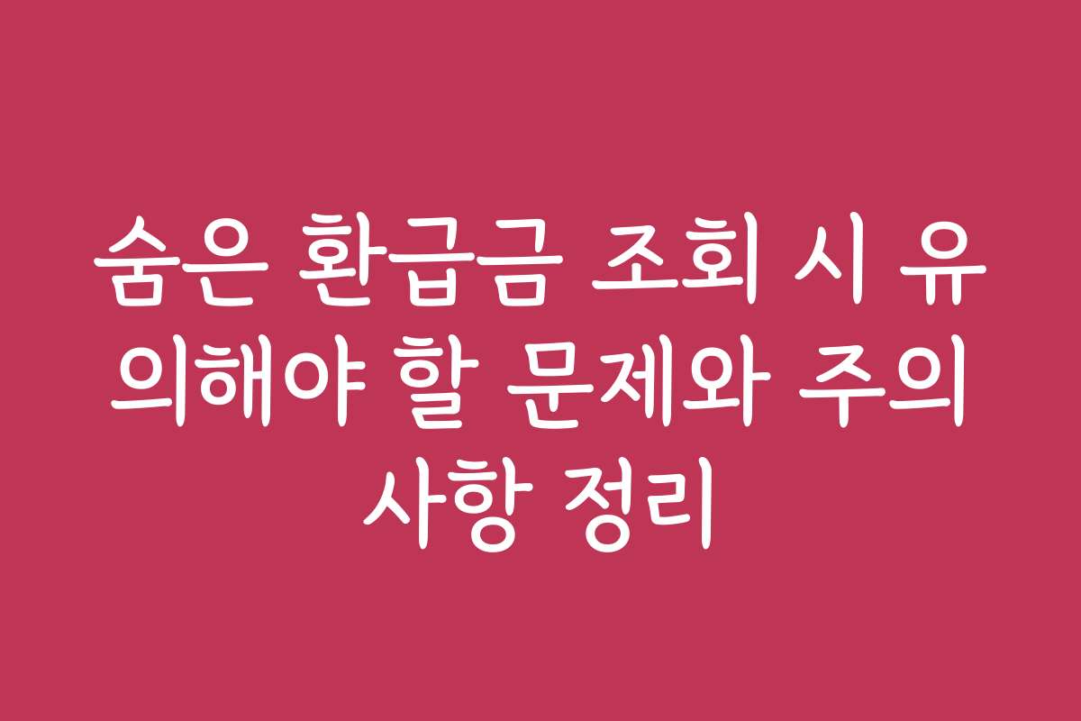 숨은 환급금 조회 시 유의해야 할 문제와 주의사항 정리