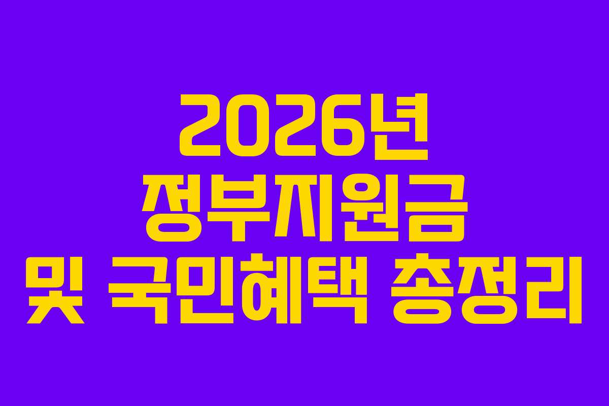 2026년 정부지원금 및 국민혜택 총정리