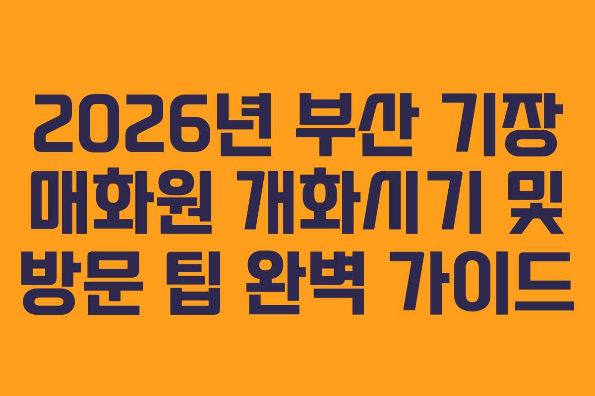 2026년 부산 기장 매화원 개화시기 및 방문 팁 완벽 가이드