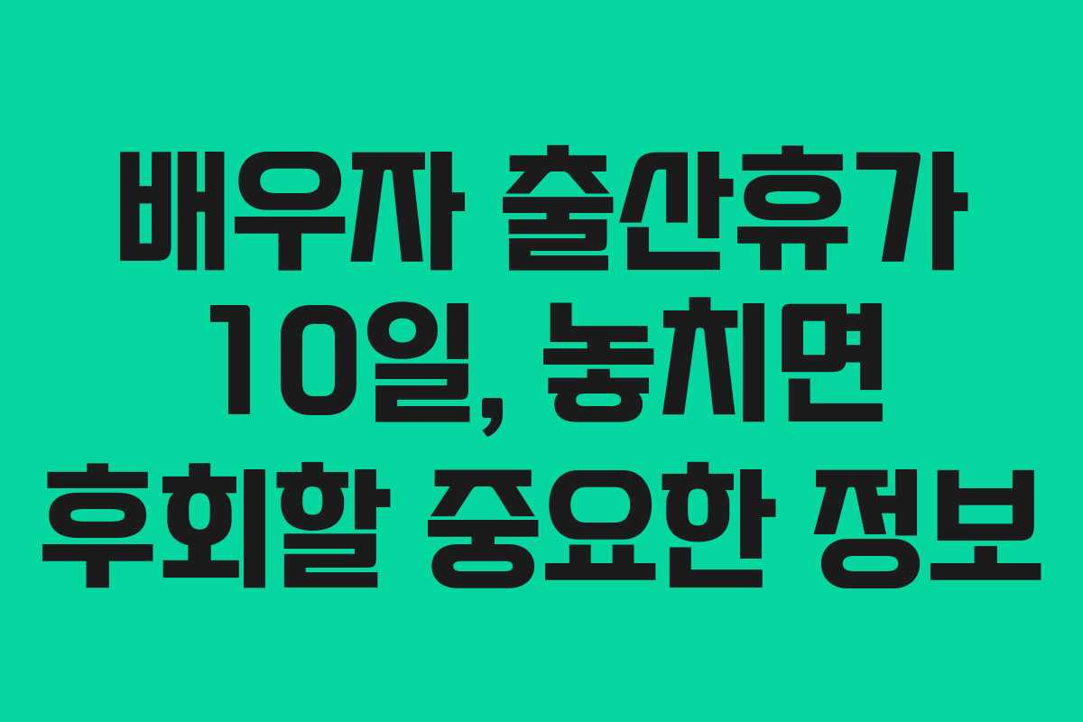 배우자 출산휴가 10일, 놓치면 후회할 중요한 정보 배우자 출산휴가 10일, 놓치면 후회할 중요한 정보