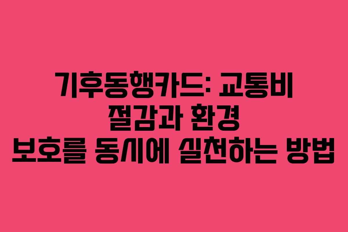 기후동행카드: 교통비 절감과 환경 보호를 동시에 실천하는 방법