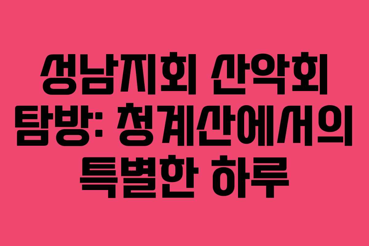 성남지회 산악회 탐방: 청계산에서의 특별한 하루