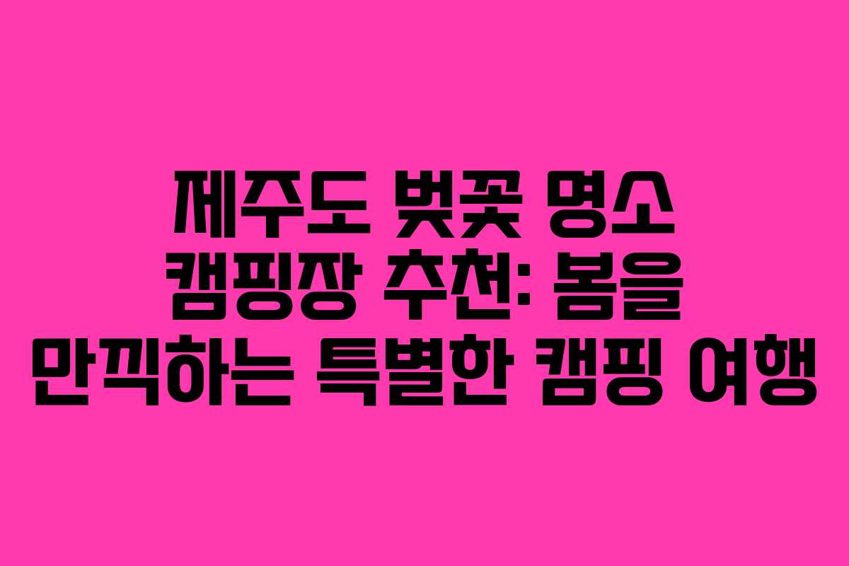 제주도 벚꽃 명소 캠핑장 추천: 봄을 만끽하는 특별한 캠핑 여행