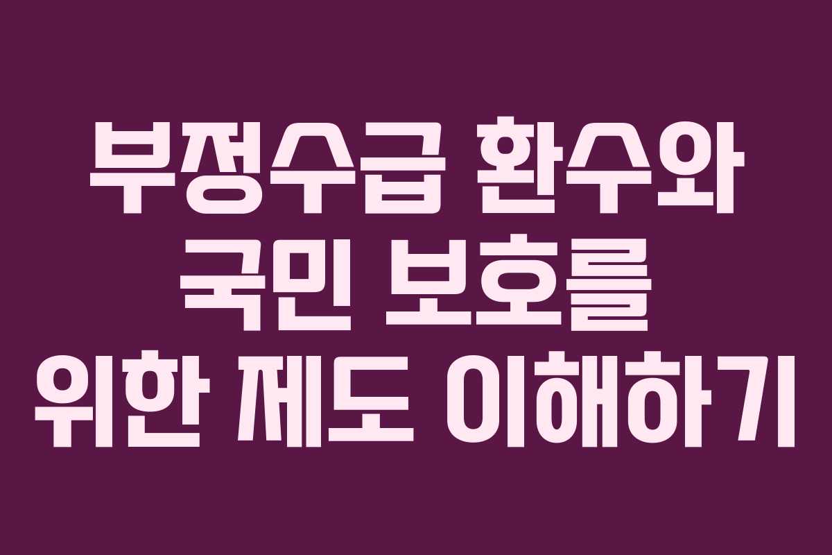 부정수급 환수와 국민 보호를 위한 제도 이해하기