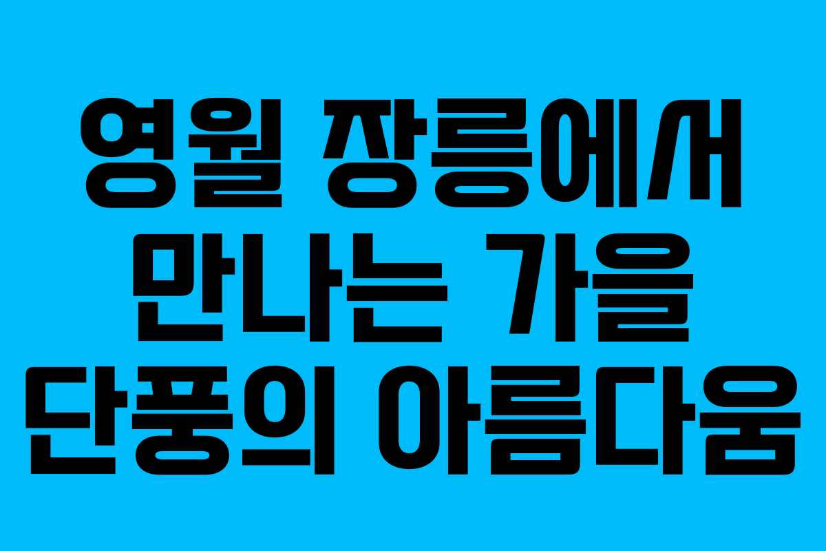 영월 장릉에서 만나는 가을 단풍의 아름다움