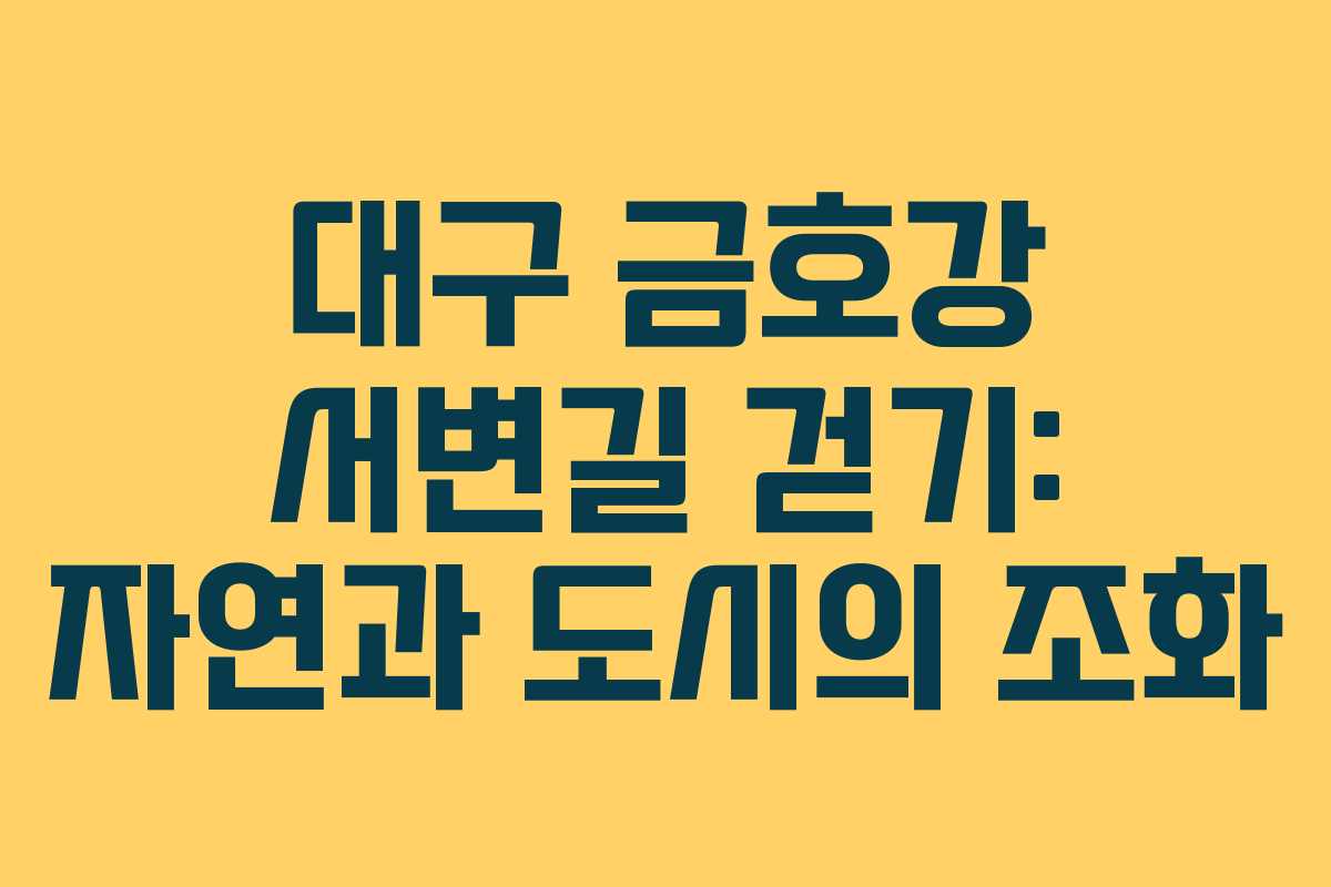 대구 금호강 서변길 걷기: 자연과 도시의 조화