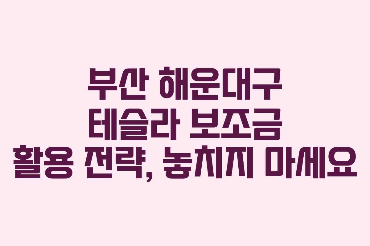 부산 해운대구 테슬라 보조금 활용 전략, 놓치지 마세요