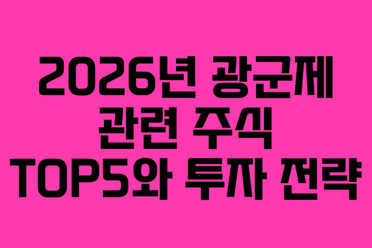 2026년 광군제 관련 주식 TOP5와 투자 전략