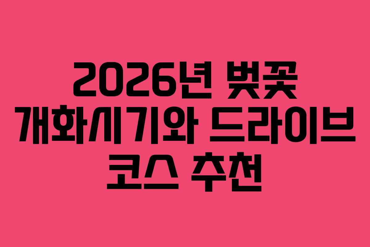 2026년 벚꽃 개화시기와 드라이브 코스 추천
