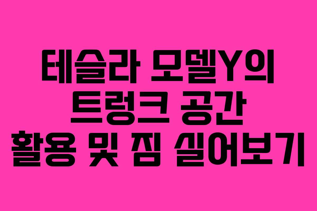 테슬라 모델Y의 트렁크 공간 활용 및 짐 실어보기