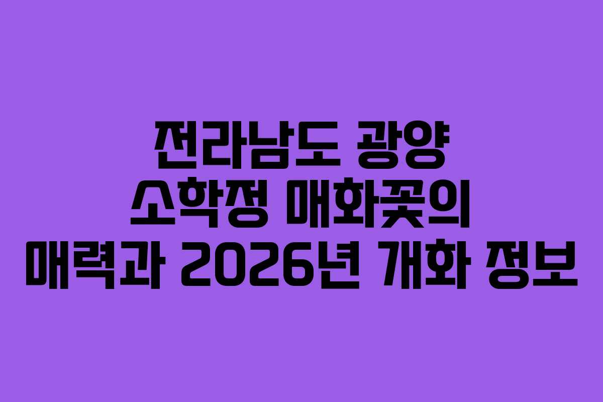 전라남도 광양 소학정 매화꽃의 매력과 2026년 개화 정보