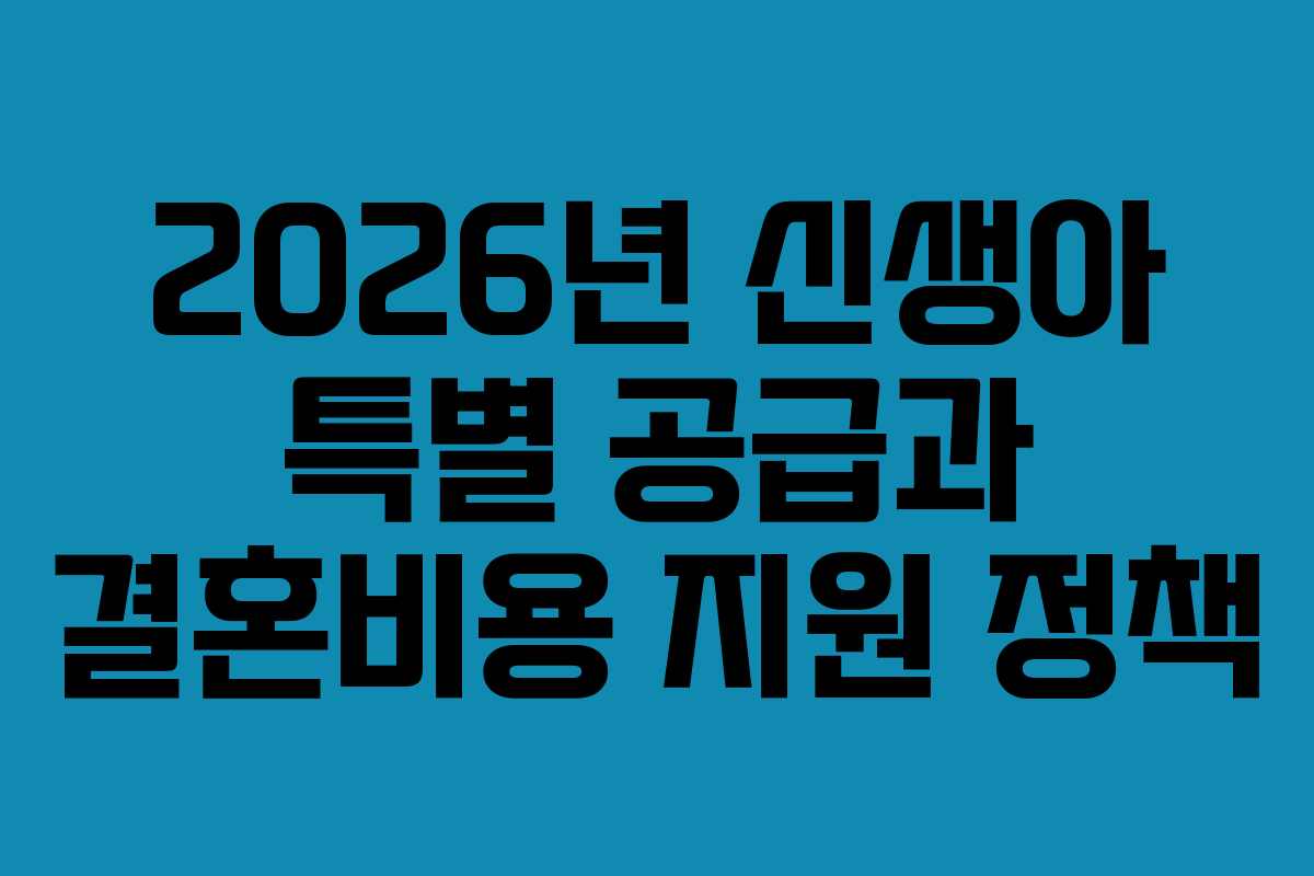 2026년 신생아 특별 공급과 결혼비용 지원 정책