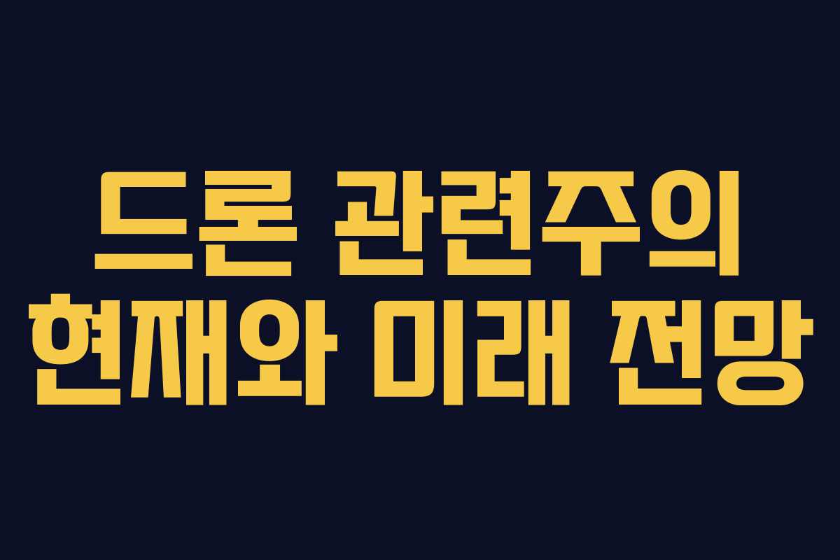 드론 관련주의 현재와 미래 전망