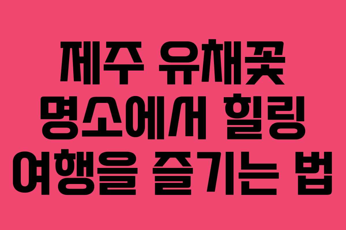 제주 유채꽃 명소에서 힐링 여행을 즐기는 법