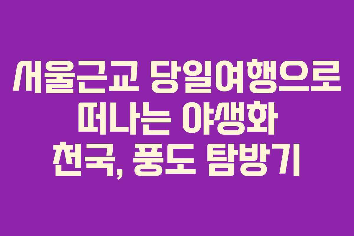 서울근교 당일여행으로 떠나는 야생화 천국, 풍도 탐방기