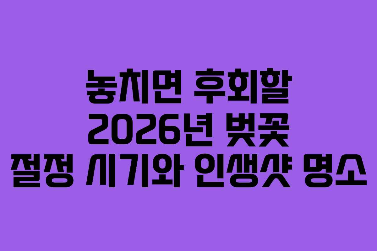 놓치면 후회할 2026년 벚꽃 절정 시기와 인생샷 명소