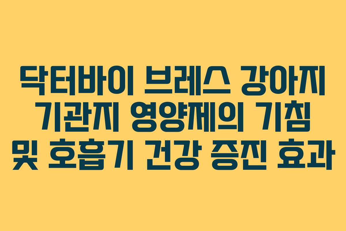 닥터바이 브레스 강아지 기관지 영양제의 기침 및 호흡기 건강 증진 효과