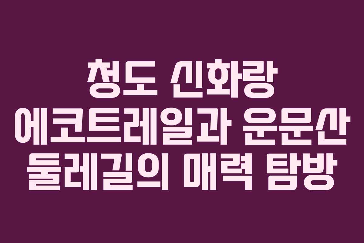 청도 신화랑 에코트레일과 운문산 둘레길의 매력 탐방 청도 신화랑 에코트레일과 운문산 둘레길의 매력 탐방