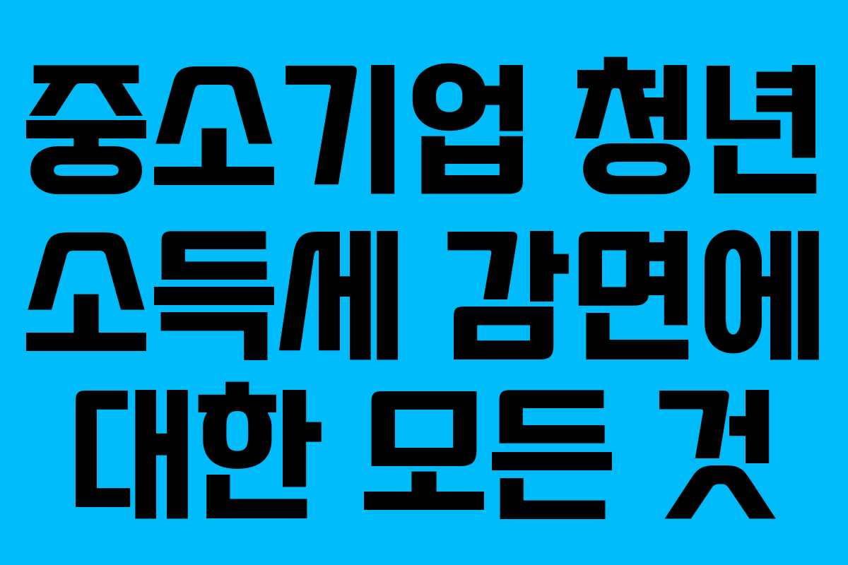 중소기업 청년 소득세 감면에 대한 모든 것 중소기업 청년 소득세 감면에 대한 모든 것