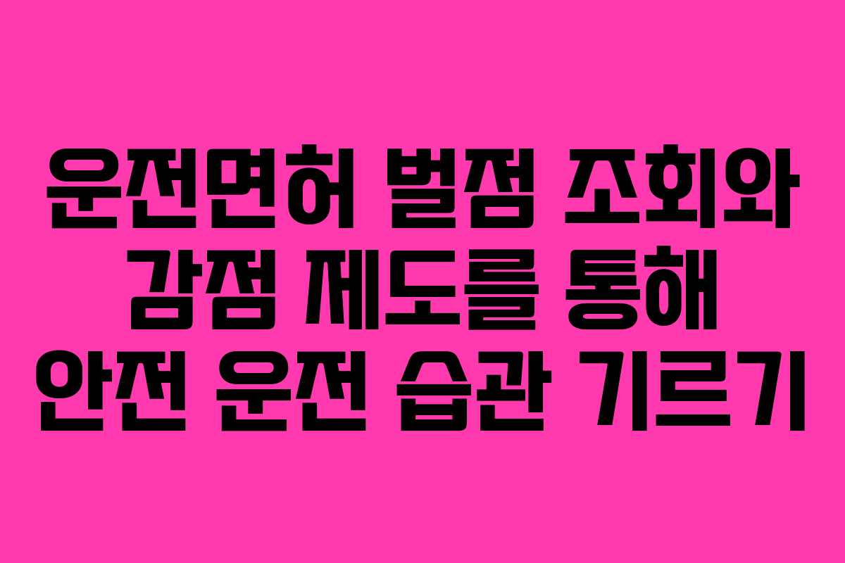 운전면허 벌점 조회와 감점 제도를 통해 안전 운전 습관 기르기
