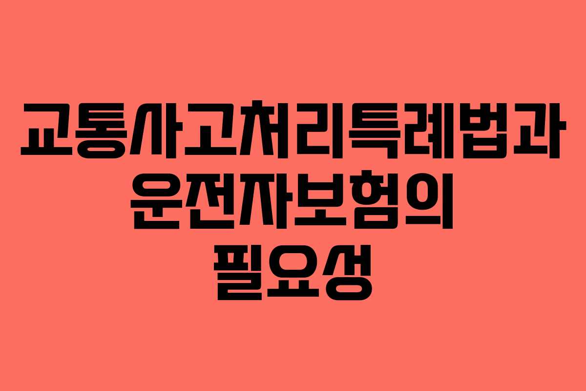 교통사고처리특례법과 운전자보험의 필요성