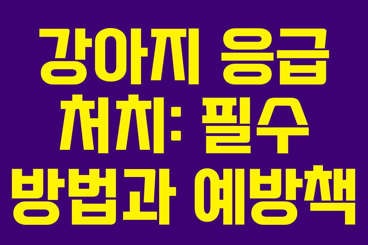 강아지 응급 처치: 필수 방법과 예방책