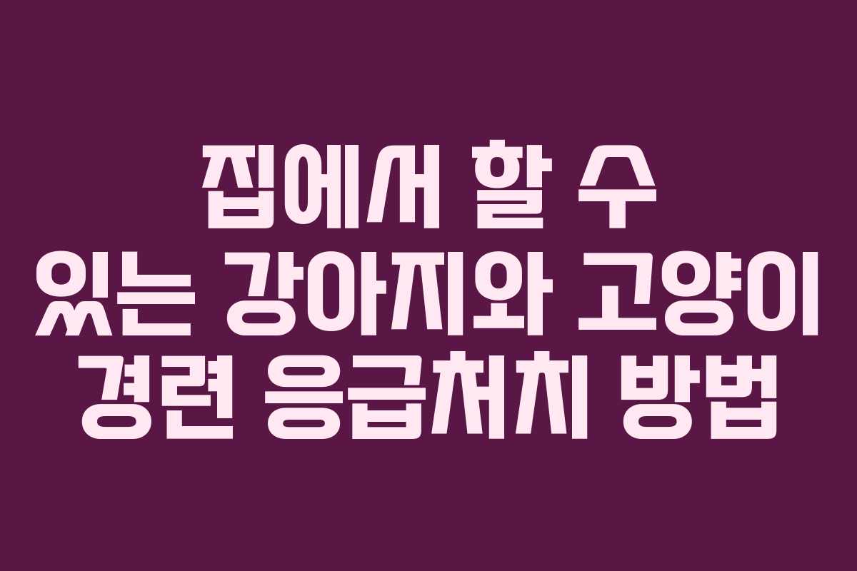 집에서 할 수 있는 강아지와 고양이 경련 응급처치 방법