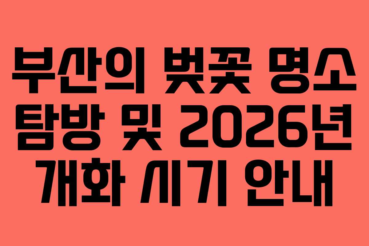 부산의 벚꽃 명소 탐방 및 2026년 개화 시기 안내