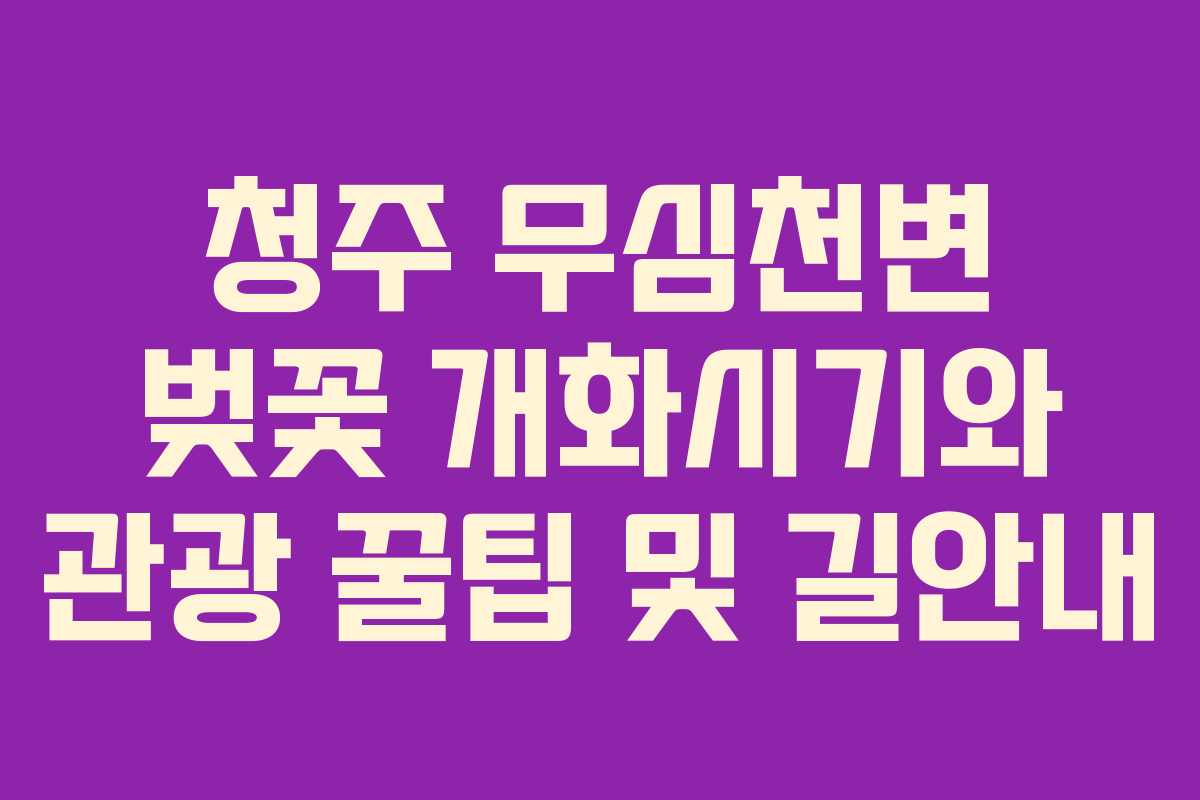 청주 무심천변 벚꽃 개화시기와 관광 꿀팁 및 길안내