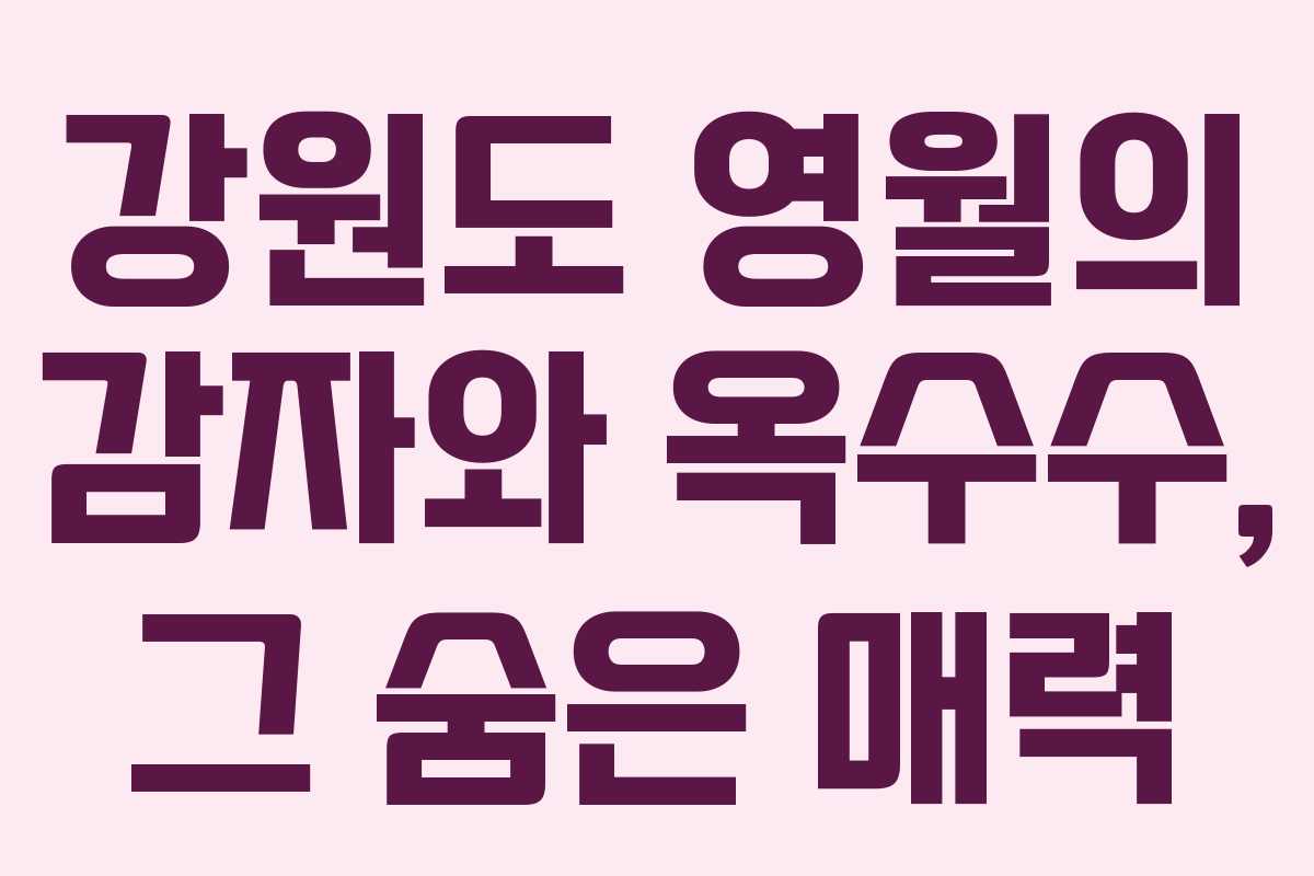강원도 영월의 감자와 옥수수, 그 숨은 매력 강원도 영월의 감자와 옥수수, 그 숨은 매력