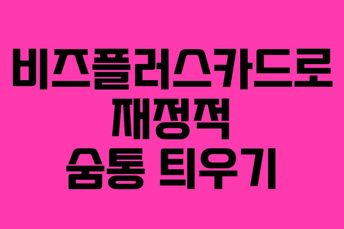 비즈플러스카드로 재정적 숨통 틔우기 비즈플러스카드로 재정적 숨통 틔우기