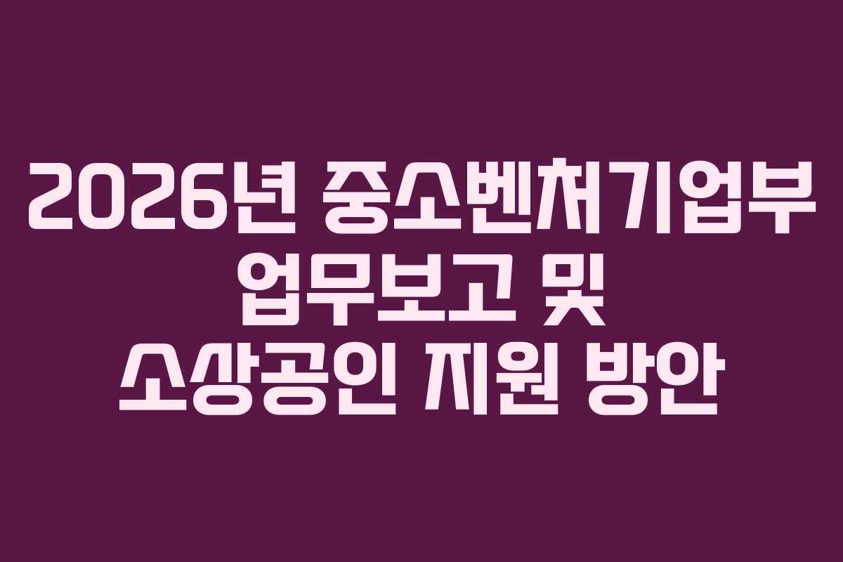 2026년 중소벤처기업부 업무보고 및 소상공인 지원 방안