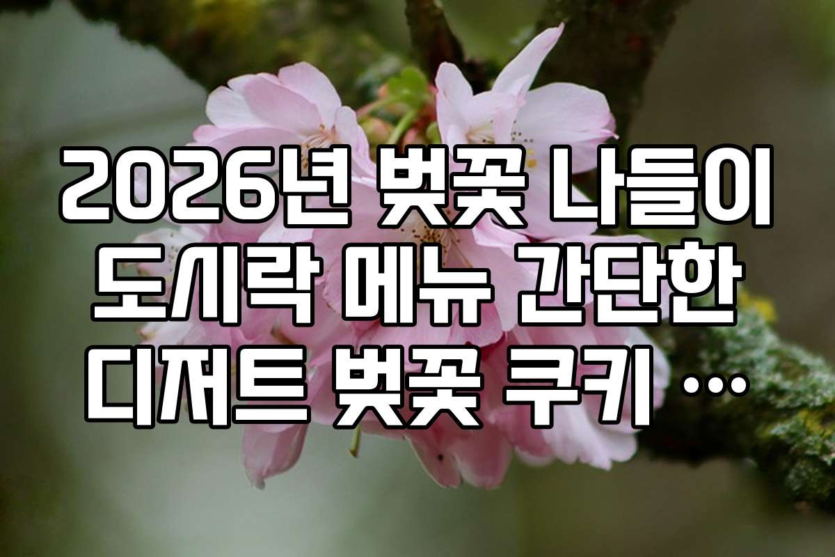 2026년 벚꽃 나들이 도시락 메뉴 간단한 디저트 벚꽃 쿠키 레시피