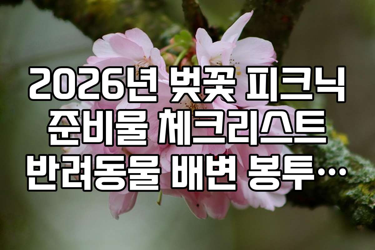 2026년 벚꽃 피크닉 준비물 체크리스트 반려동물 배변 봉투 및 물통