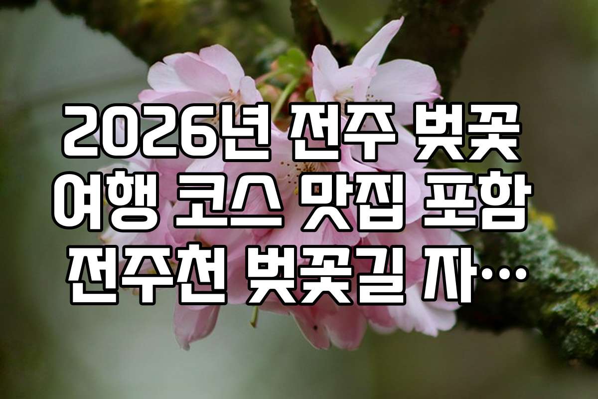 2026년 전주 벚꽃 여행 코스 맛집 포함 전주천 벚꽃길 자전거 투어