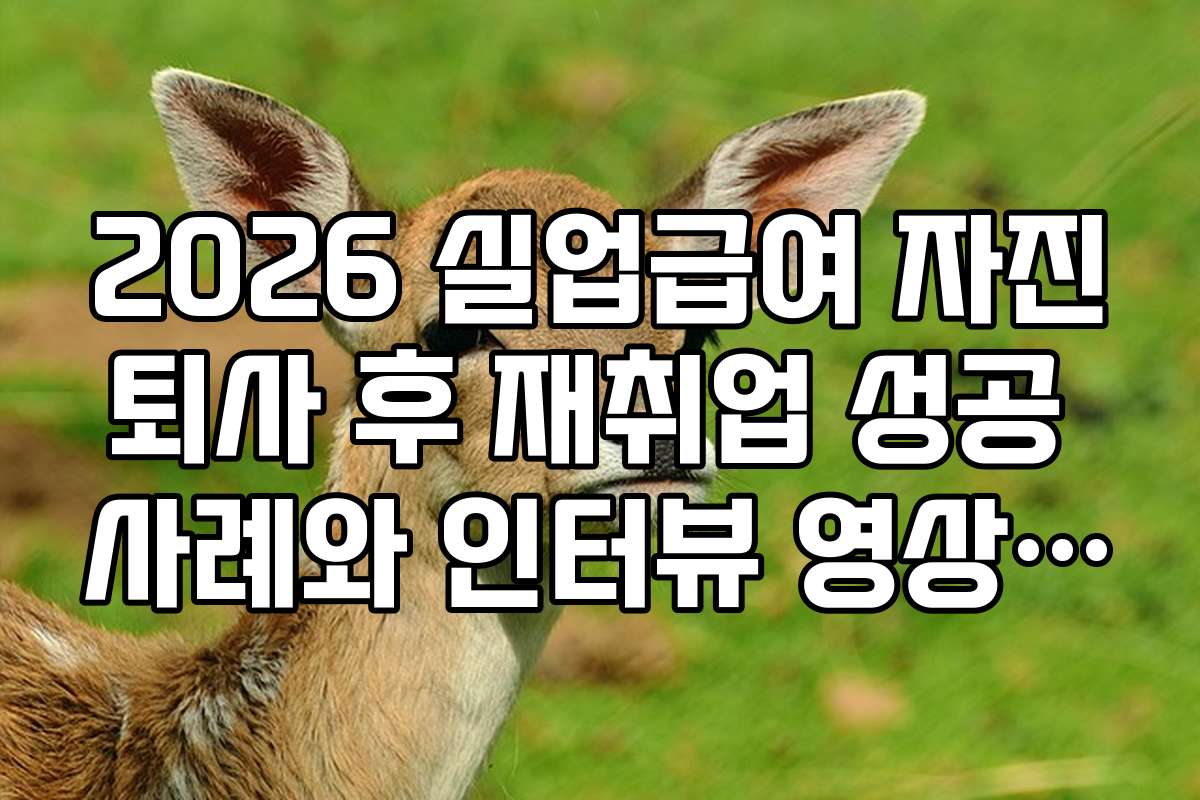 2026 실업급여 자진퇴사 후 재취업 성공 사례와 인터뷰 영상 추천