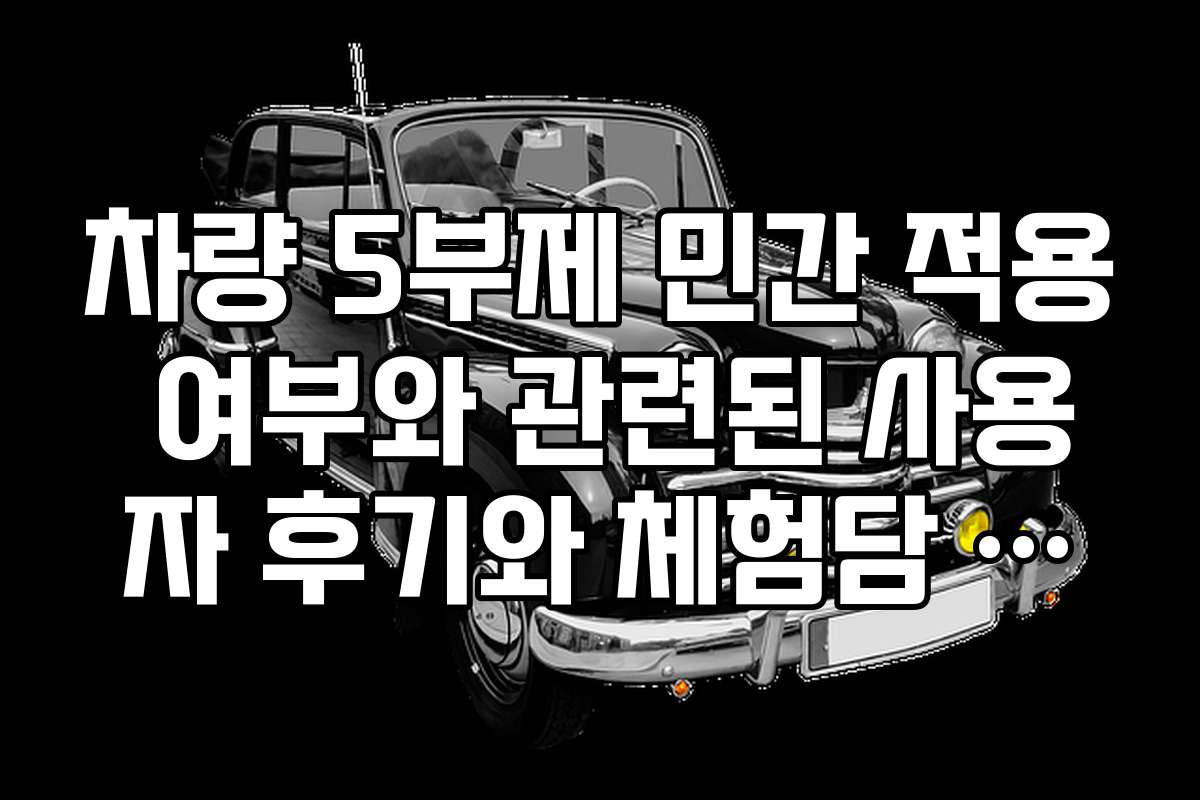 차량 5부제 민간 적용 여부와 관련된 사용자 후기와 체험담 모음