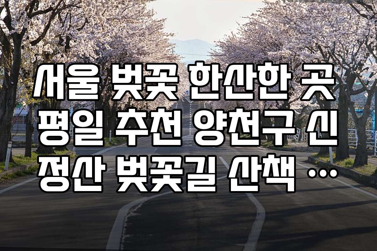 서울 벚꽃 한산한 곳 평일 추천 양천구 신정산 벚꽃길 산책 코스