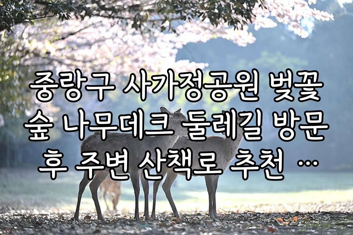 중랑구 사가정공원 벚꽃숲 나무데크 둘레길 방문 후 주변 산책로 추천 코스