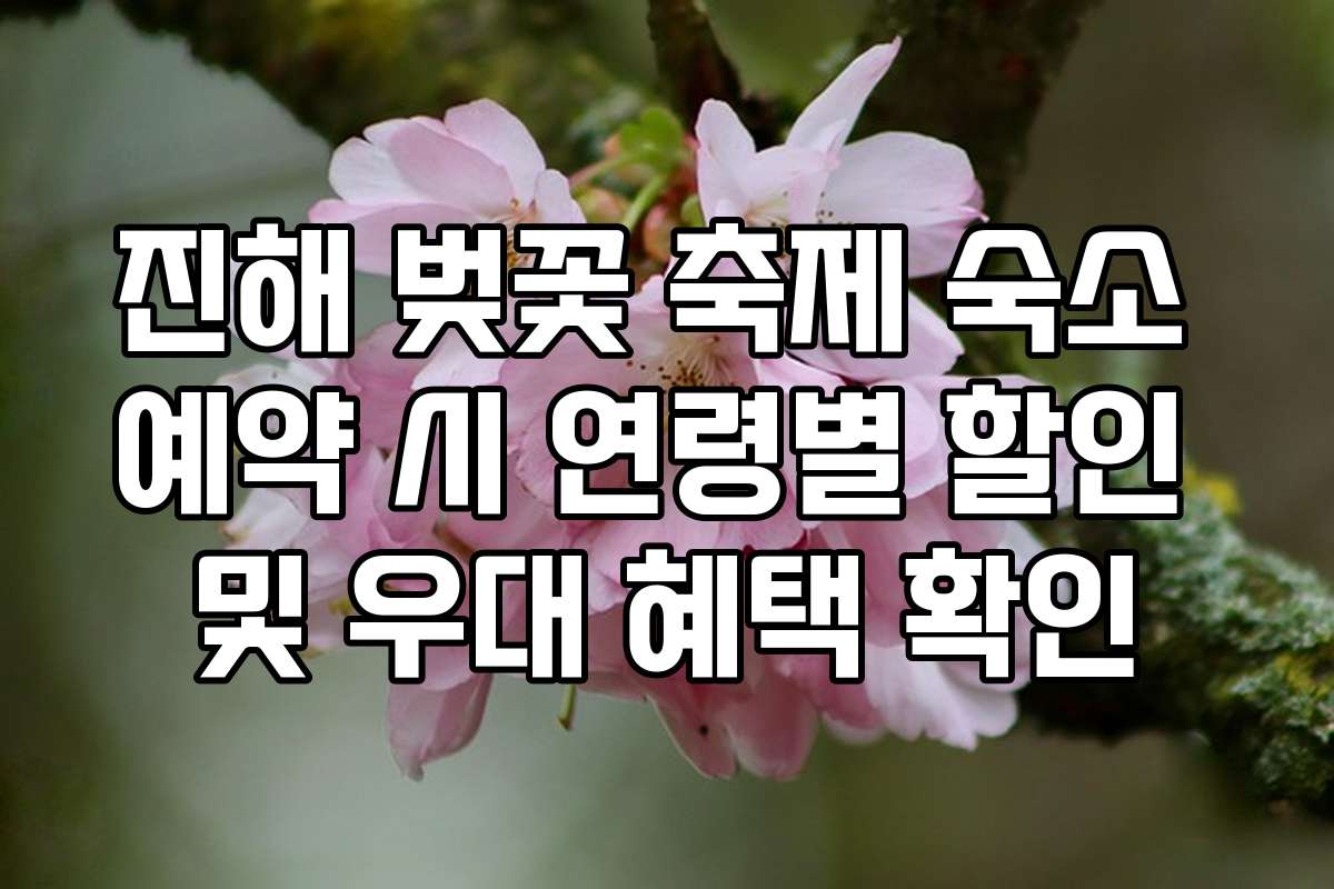 진해 벚꽃 축제 숙소 예약 시 연령별 할인 및 우대 혜택 확인