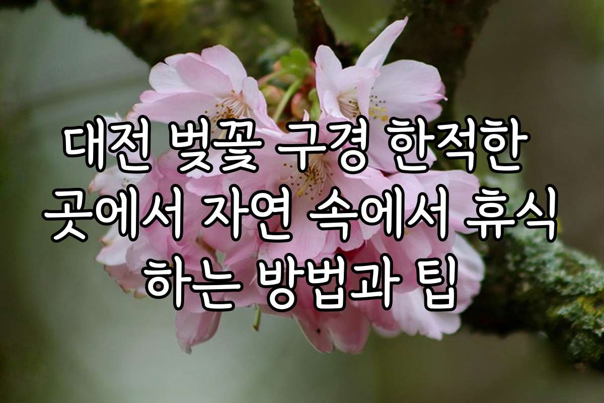 대전 벚꽃 구경 한적한 곳에서 자연 속에서 휴식하는 방법과 팁 대전 벚꽃 구경 한적한 곳에서 자연 속에서 휴식하는 방법과 팁