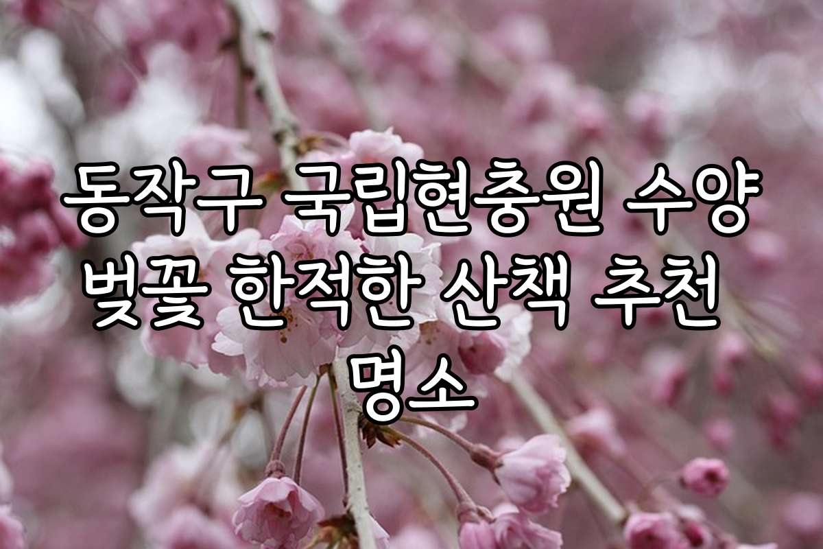 동작구 국립현충원 수양벚꽃 한적한 산책 추천 명소
