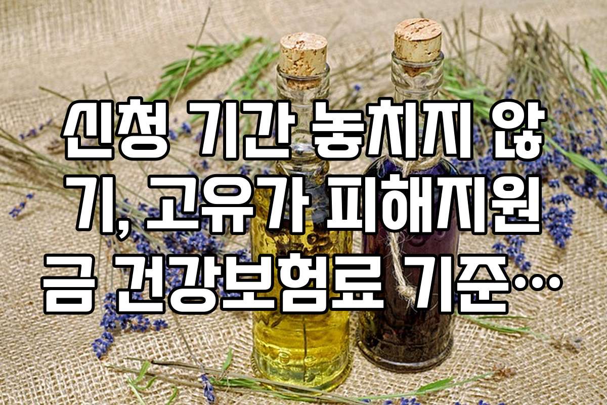 신청 기간 놓치지 않기, 고유가 피해지원금 건강보험료 기준 마감 일정