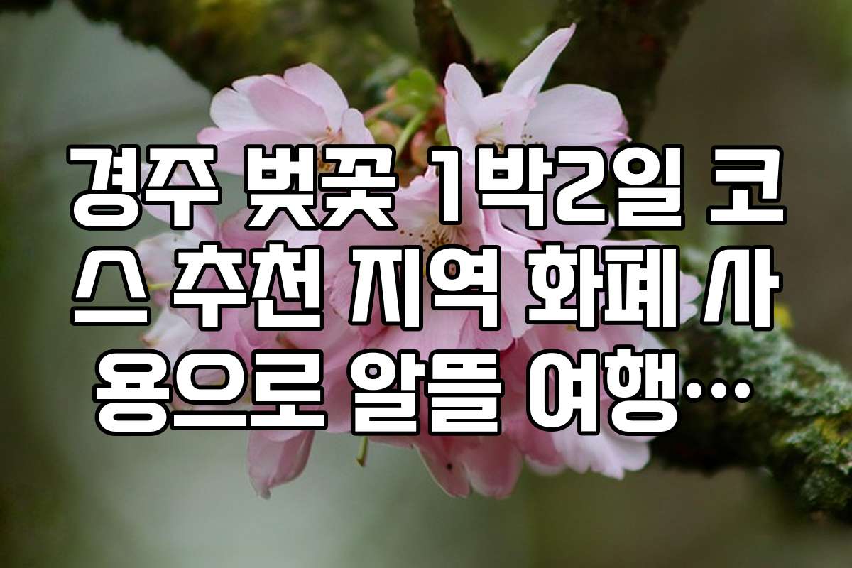 경주 벚꽃 1박2일 코스 추천 지역 화폐 사용으로 알뜰 여행하기