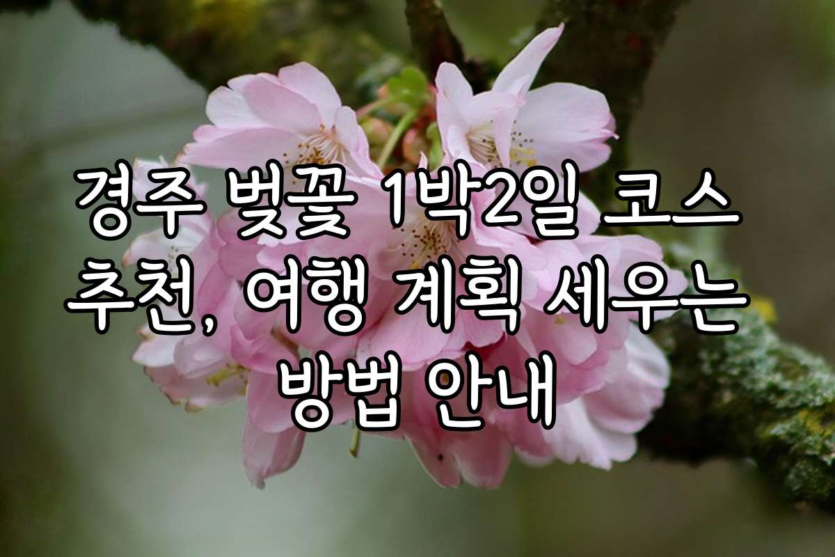 경주 벚꽃 1박2일 코스 추천, 여행 계획 세우는 방법 안내