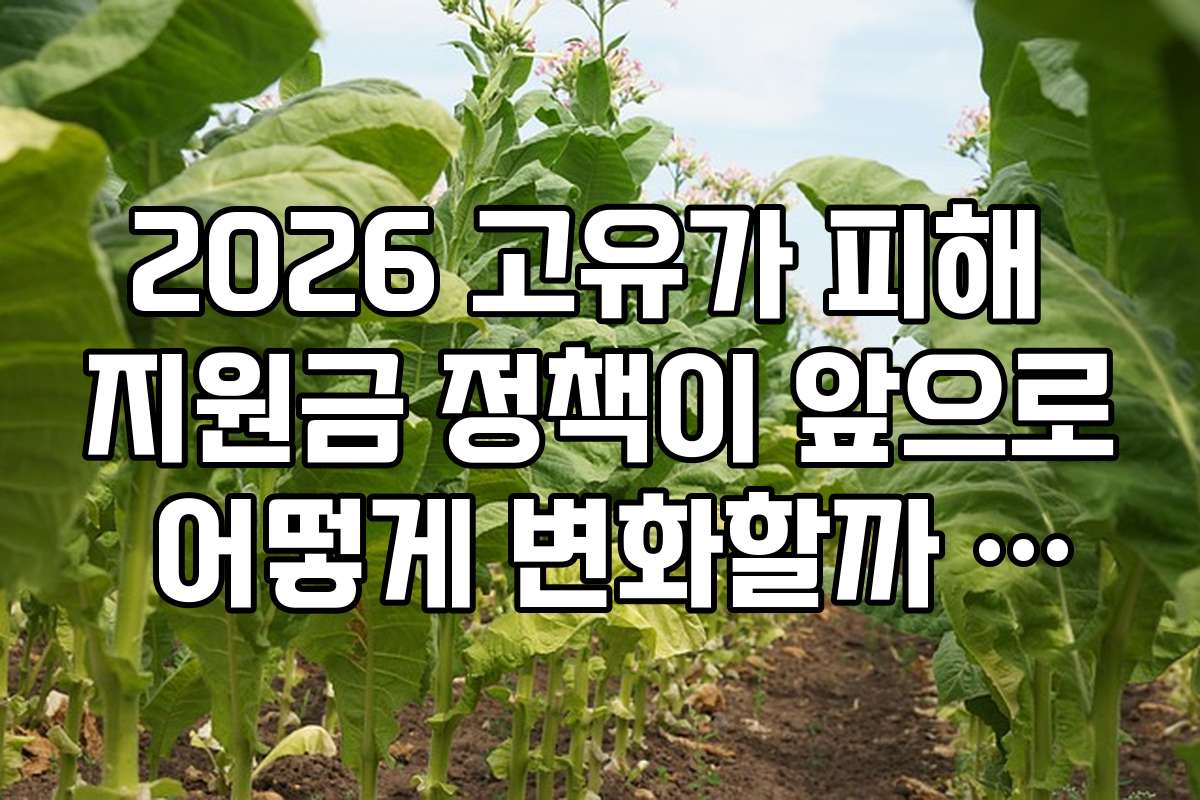 2026 고유가 피해 지원금 정책이 앞으로 어떻게 변화할까 전망